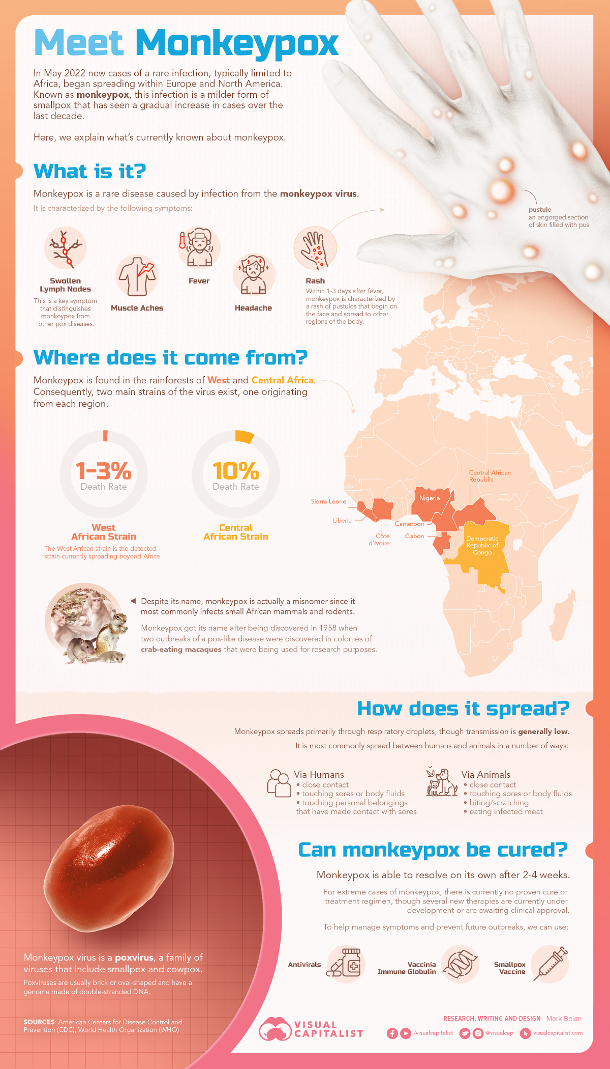 All about Monkeypox