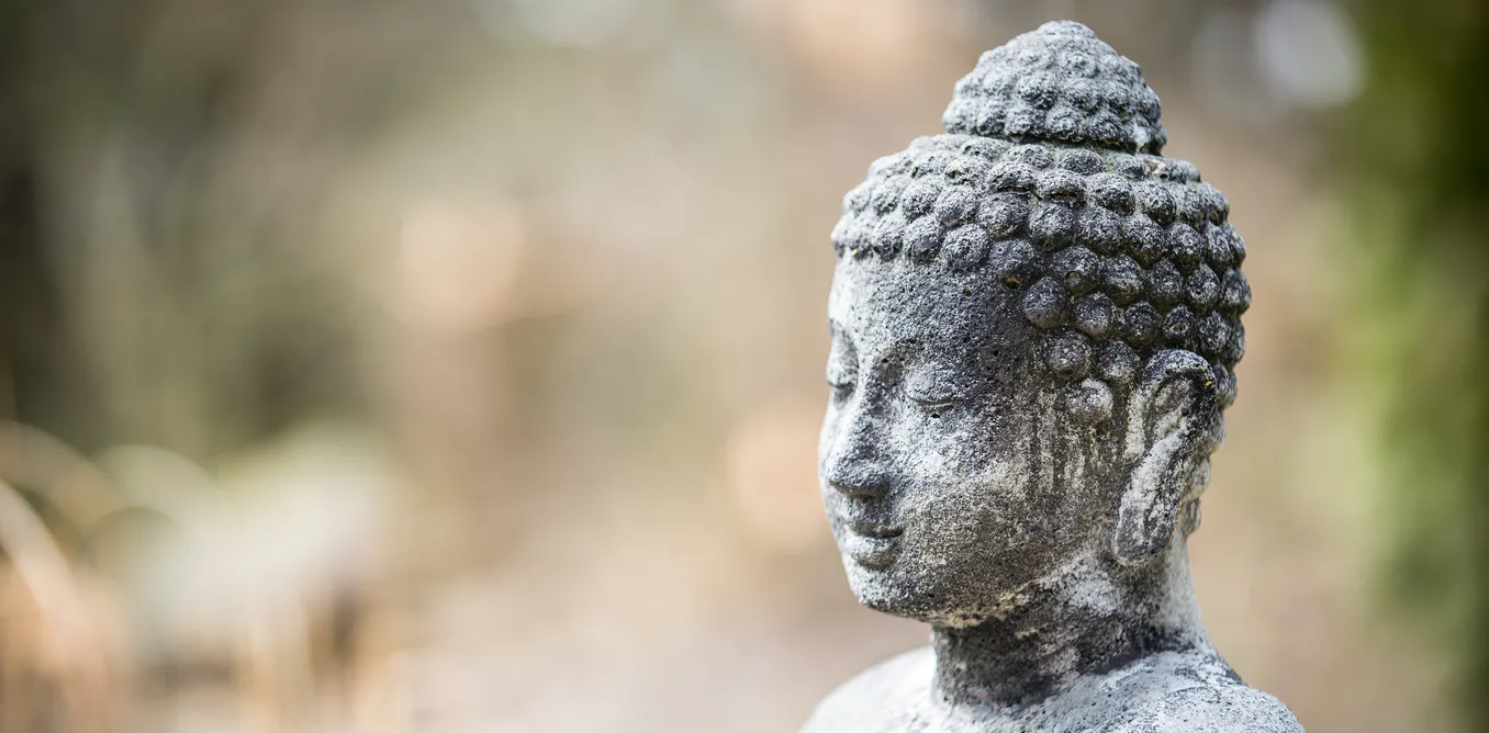 How Thinking like a Buddhist about coronavirus helpful to Everyone